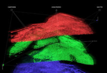 Jean Pierre, Cartoon, Daitto – What out now on Ultra Records